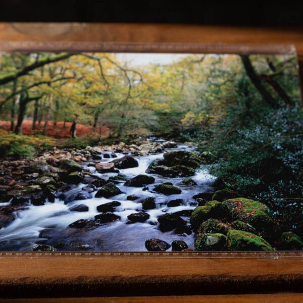 Shaugh Prior - Greetings Card
