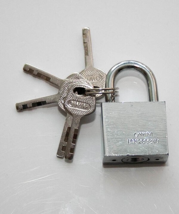 Professional Grade Padlock and Keys