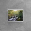 Shaugh Prior - Devon, Dartmoor - Photographic Print