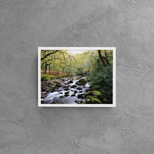 Shaugh Prior - Devon, Dartmoor - Photographic Print