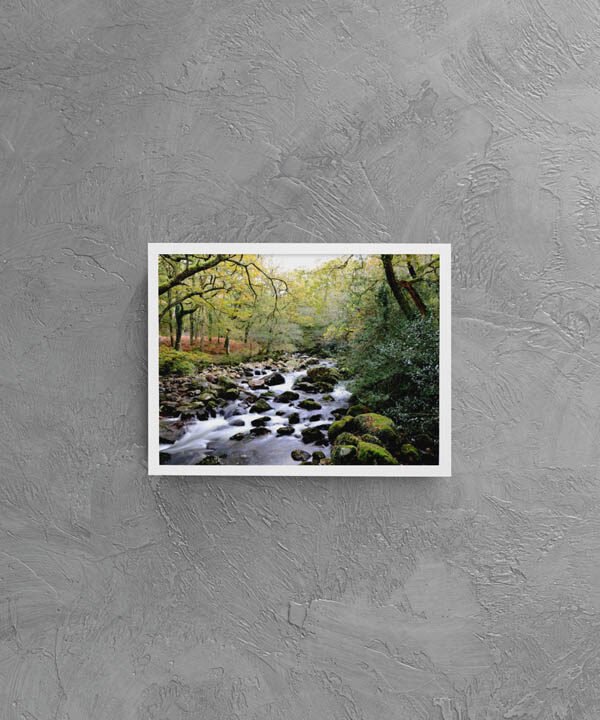 Shaugh Prior - Devon, Dartmoor - Photographic Print